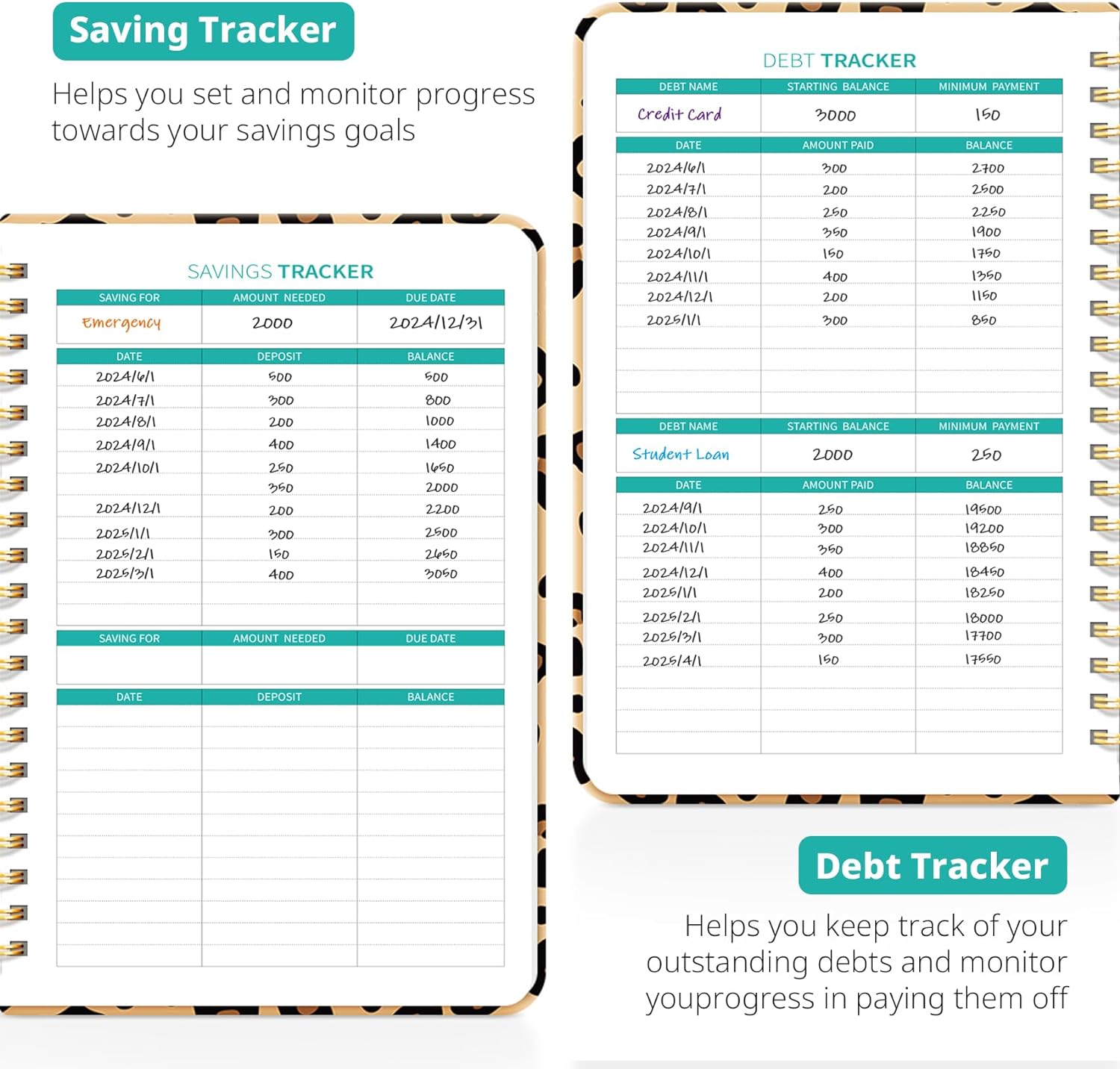 Budget Planner - Monthly Budget Book 2024 with Expense & Bill Tracker - Undated 12 Month Financial Planner/Account Book to Take Control of Your Money - Pink