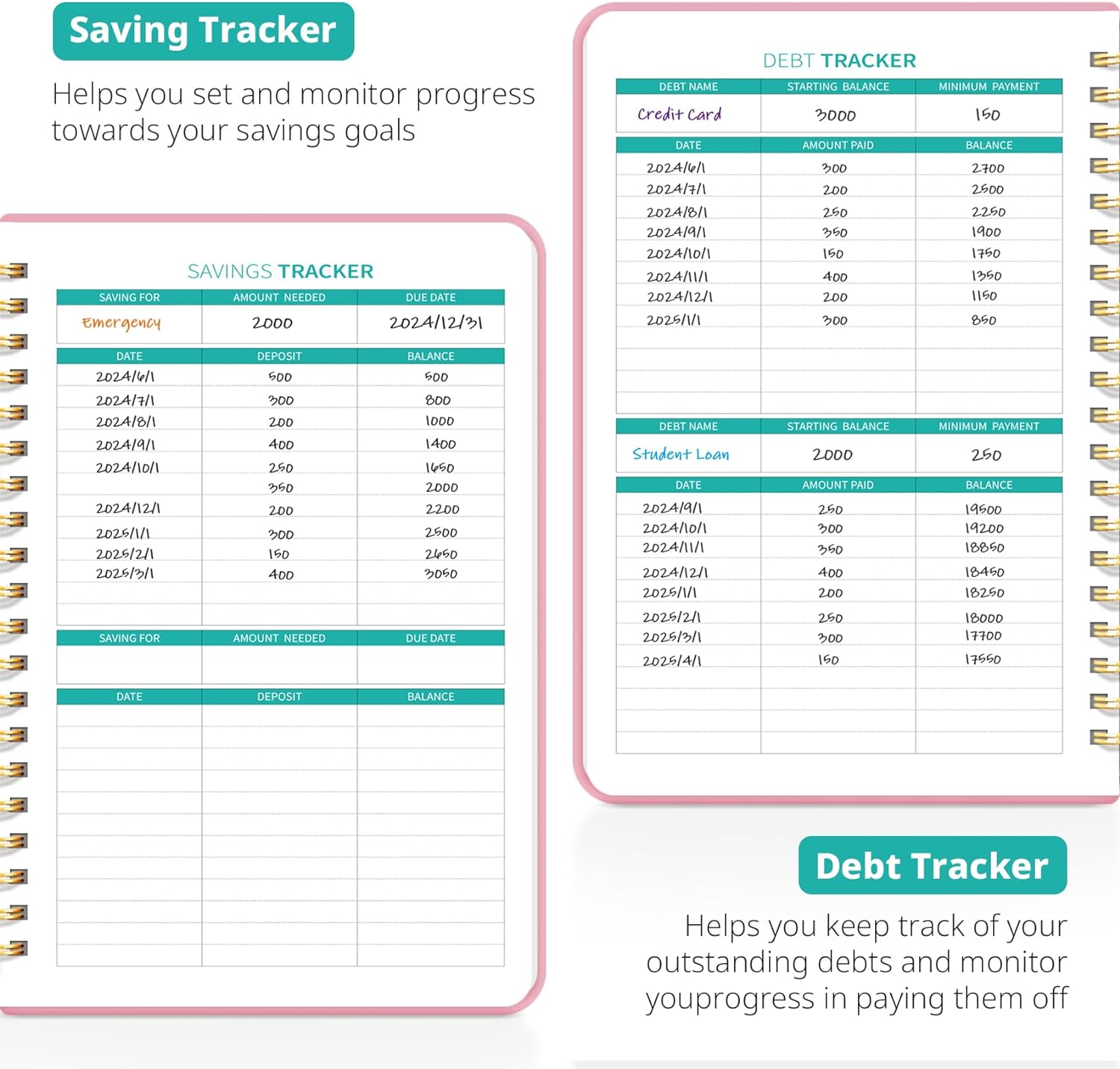 Budget Planner - Monthly Budget Book 2024 with Expense & Bill Tracker - Undated 12 Month Financial Planner/Account Book to Take Control of Your Money - Pink