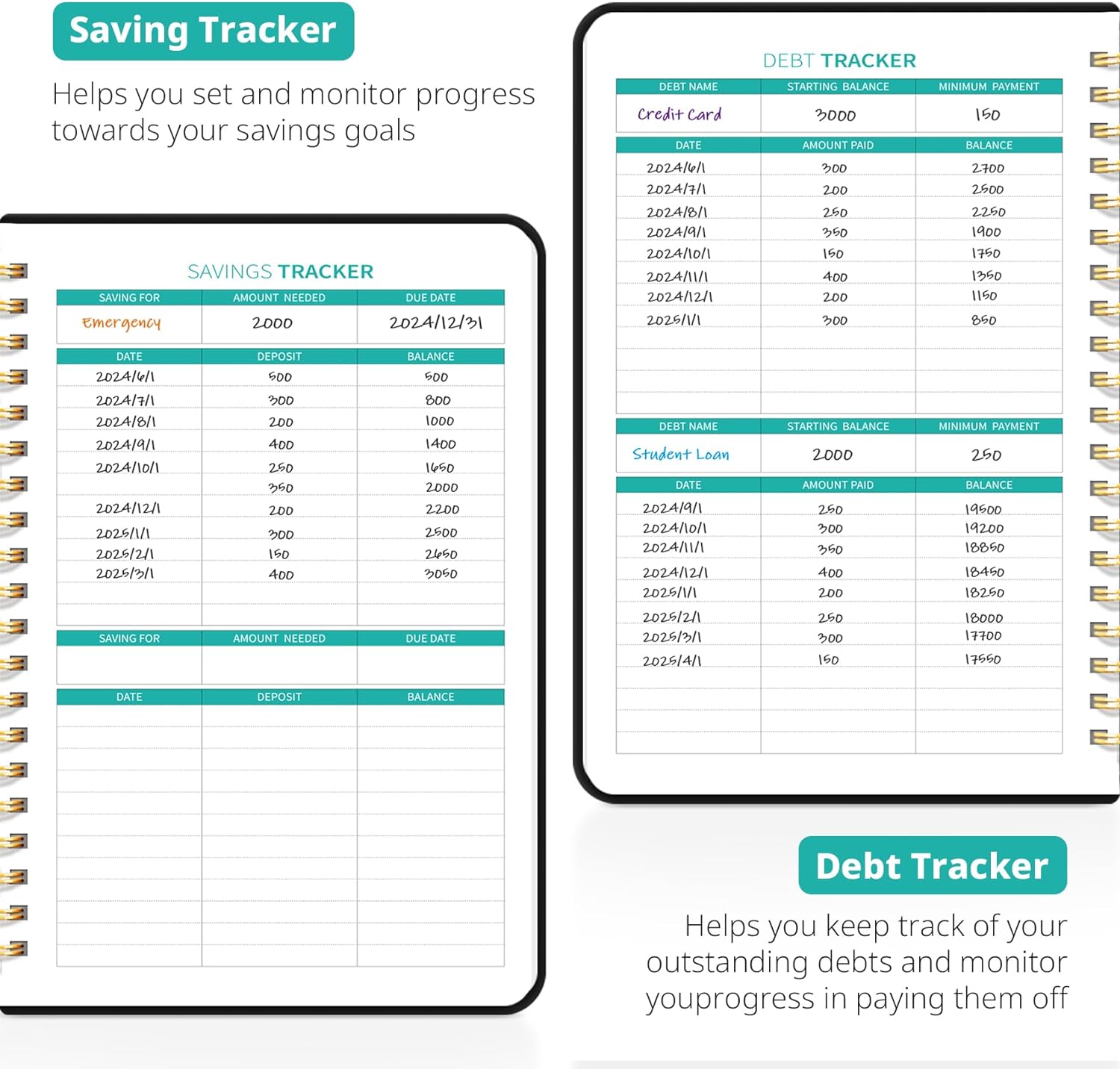 Budget Planner - Monthly Budget Book 2024 with Expense & Bill Tracker - Undated 12 Month Financial Planner/Account Book to Take Control of Your Money - Pink