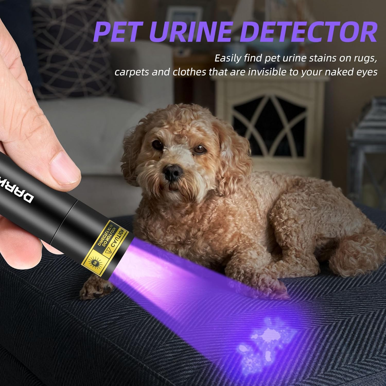 DARKBEAM Flashlight UV Black Light 395 NM, Mini but Powerful USB- C LED Rechargeable Woods Lamp, Ultraviolet Flashlights for Pet Dog Urine, Stains Detection/Resin Curing/Fluorescent Agent